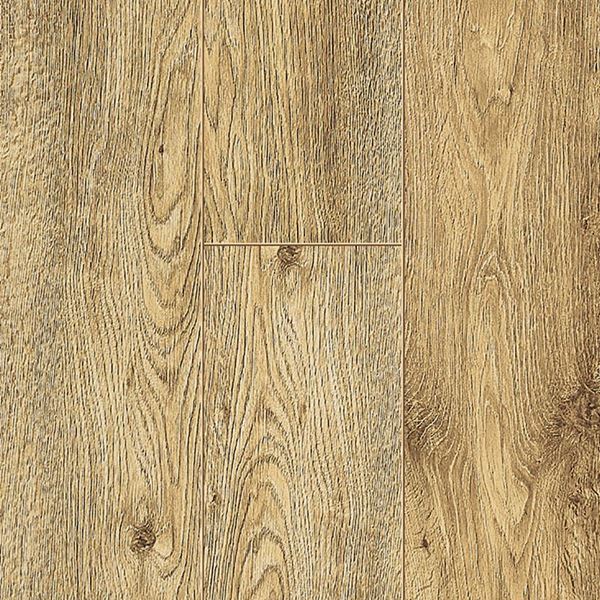 Picture of FORTISSIMO  ETNA OAK 60139
