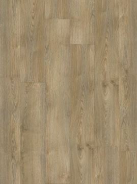 Picture of Moduleo Transform  Wood Dry Back Sherman oak 22232
